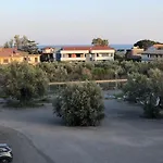 Sasa *