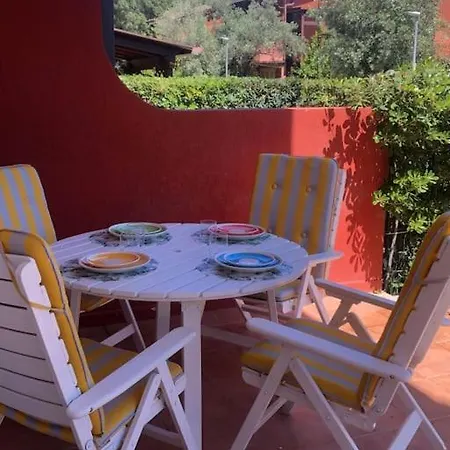 Nyaraló Sasa *