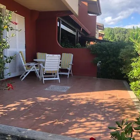 Nyaraló Sasa
