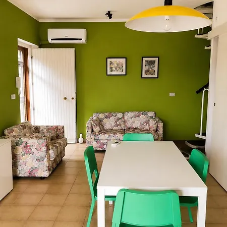 Nyaraló Sasa