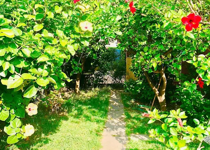 Sasa Calalunga-Pietragrande