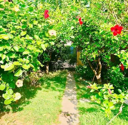 Sasa * Calalunga-Pietragrande