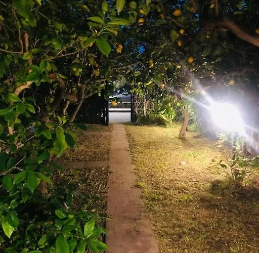 度假居 Sasa Calalunga-Pietragrande